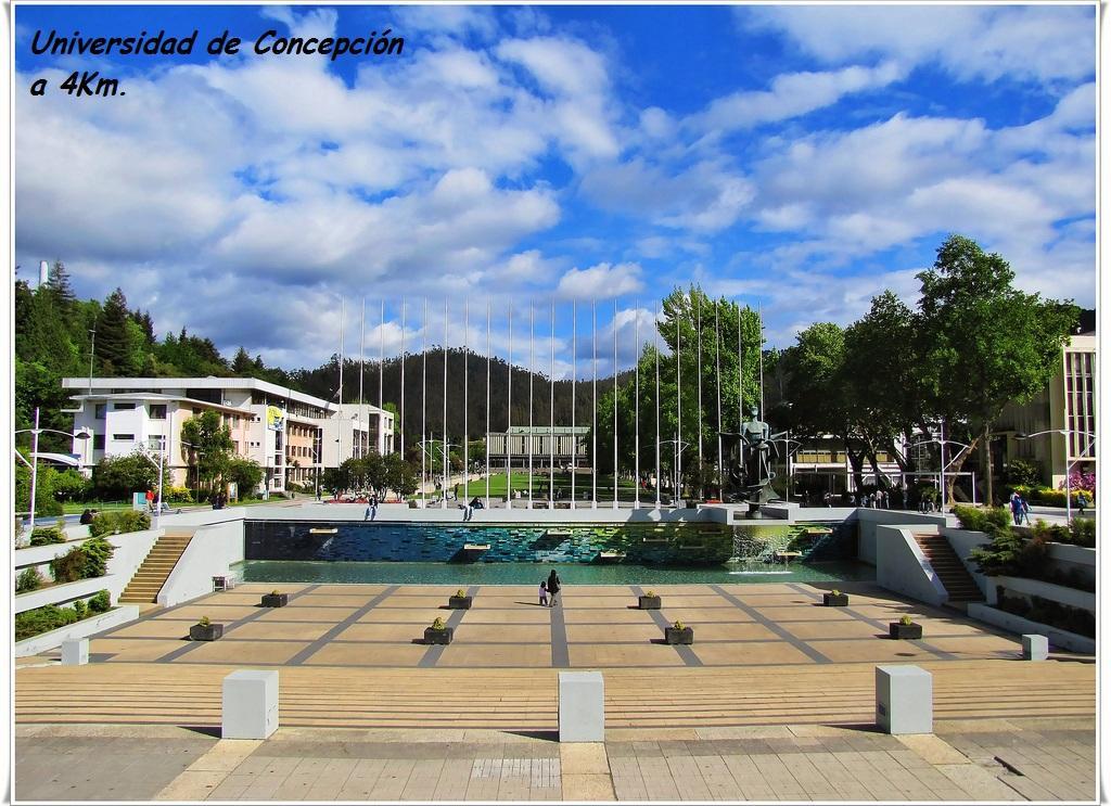 Casa San Valentin Hotel Concepción Exterior foto
